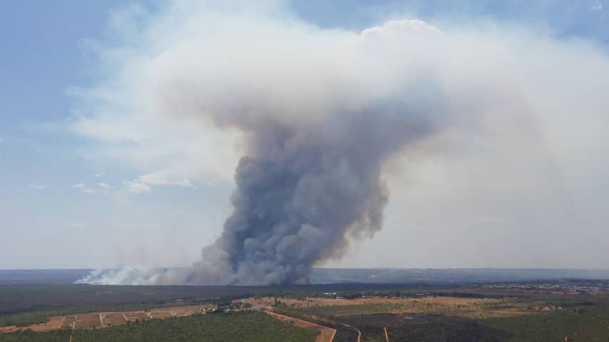 Tropical rainforest the size of Panama went up in flames in 2024