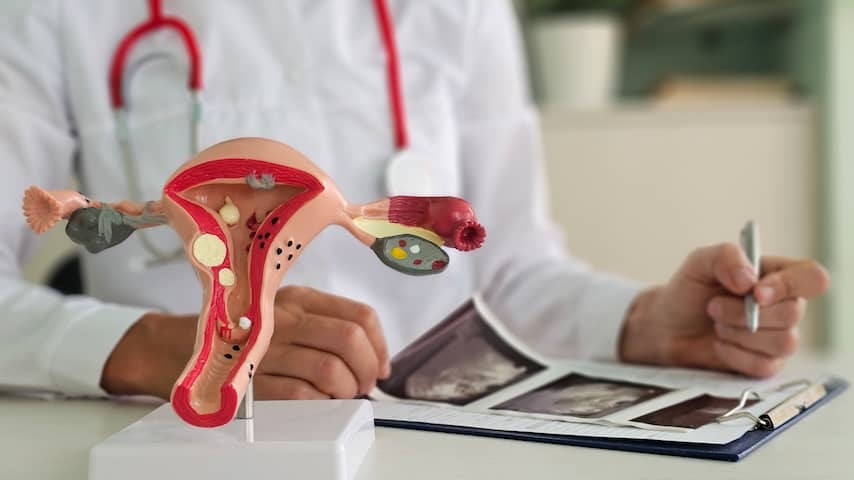 Ton picked up for alternative duckbill for gynecological research