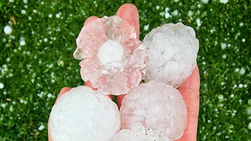 Hailstones of up to six centimeters observed after thunderstorms in Limburg