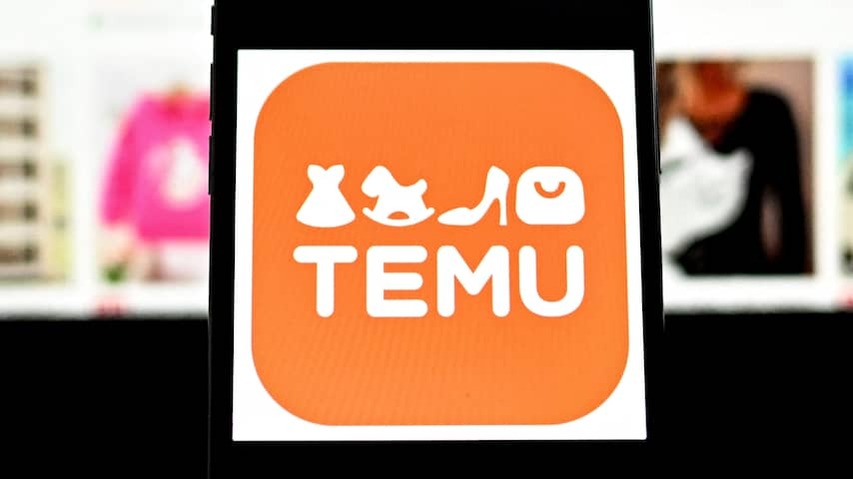 Webwinkel Temu sees profit halve during trade war