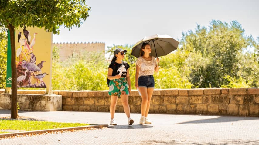 Spain is bracing for extreme heat: this week locally 40 degrees