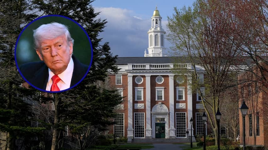 Harvard takes Trump before the judge for a ban on admission foreign students