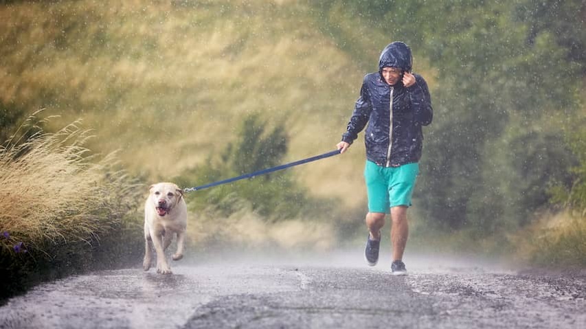 Big bowl of rain comes our way: 'Ascension Day becomes autumnal'