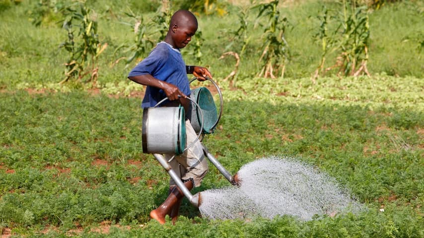 138 million children are forced to work, many do dangerous work