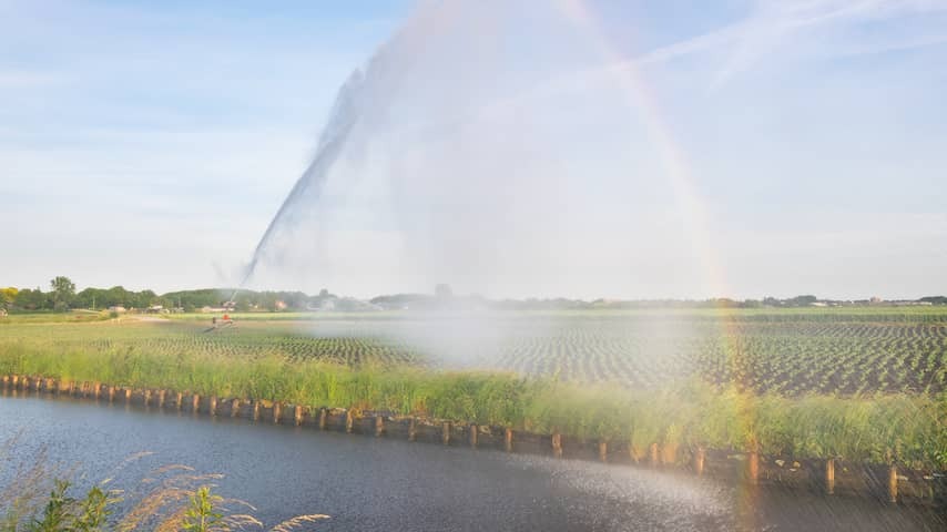 Water boards are bracing: consequences of drought are getting bigger