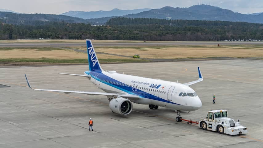 Japanese airport scraps flights because of Beer who does not want to leave the runway