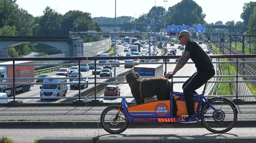 Dog in cargo bike above traffic jam in Rotterdam