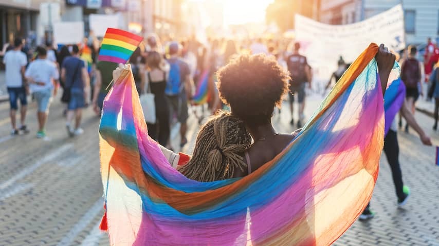 If Pride becomes more and more a 'pink King's Day', is that a profit?
