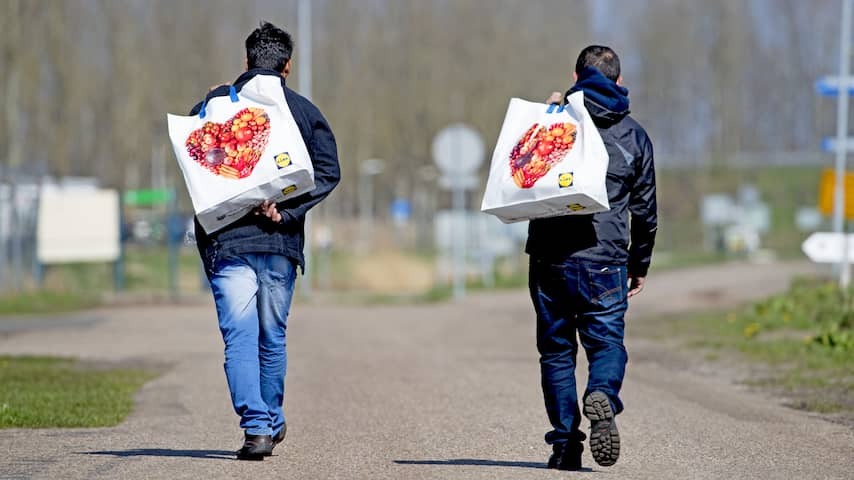 The Netherlands adjusts country policy for Syrians: asylum applications rejected faster