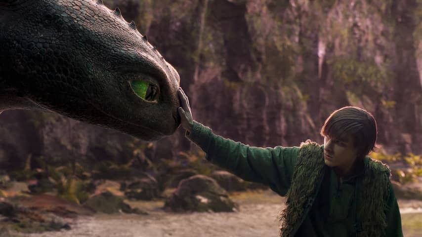 How to train your dragon