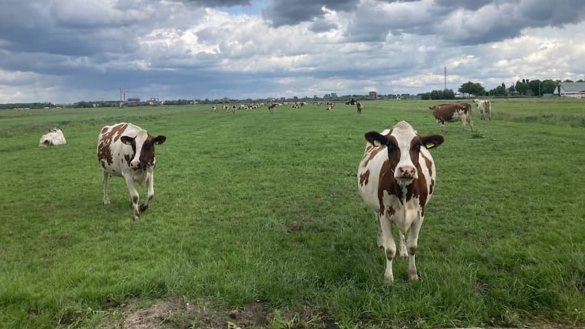 Wet feet for farmers, while a whole new village comes a little further