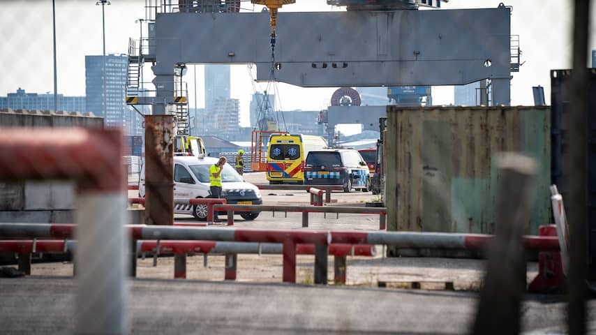 Fatal victims Waalhaven were unloading steel plates