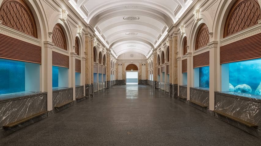 Artis finished with the restoration of the oldest aquarium in the world after four years