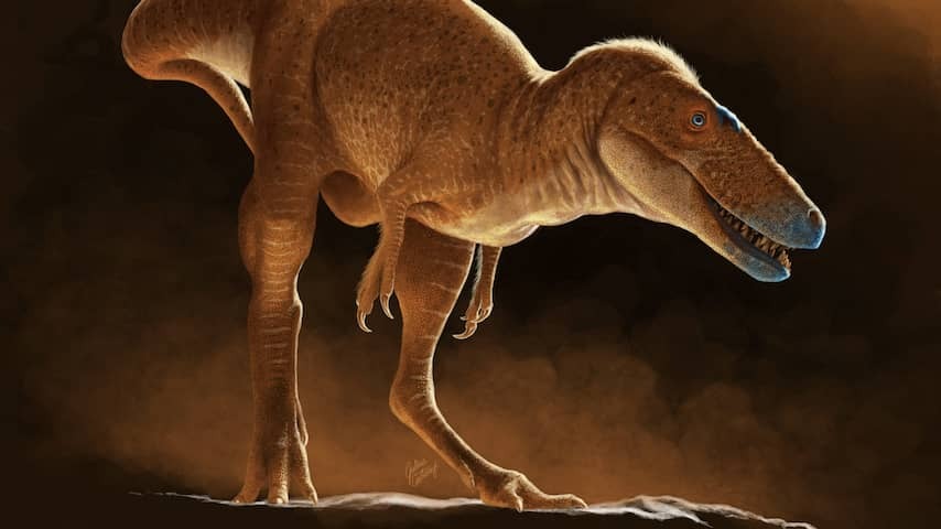 Newly discovered 'dragon prince' in Mongolia turns out to be ancestor of Tyrannosaurus Rex