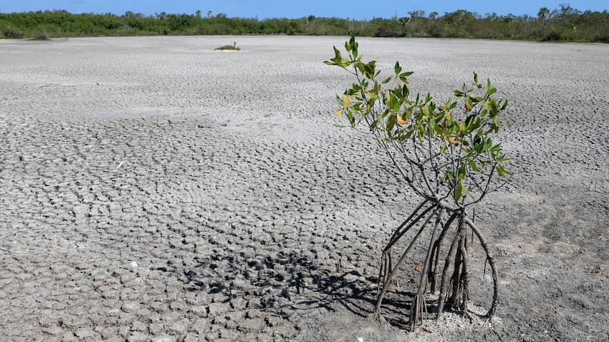 Drought in Florida