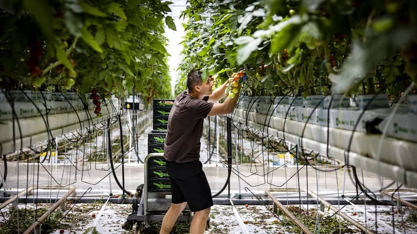 Labor migrants stay only short and go back to the home country within ten years