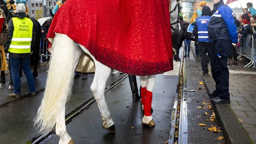 Owner of too lean Sinterklaasaard at entry Dordrecht receives community service
