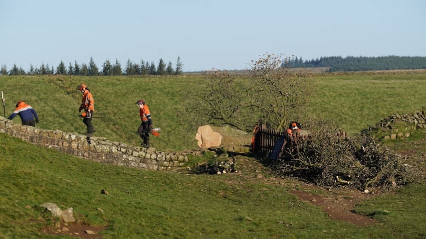 In prison of more than four years for men who are iconic English tree fields