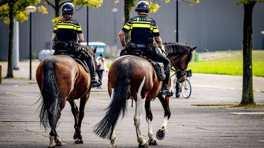 Man drives with delivery van on police horses in Den Bosch
