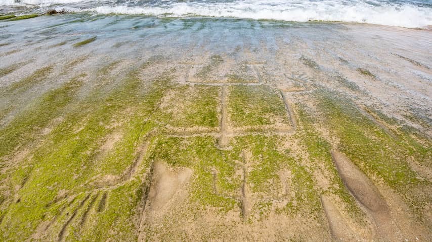 Age -old rock drawings on Hawaiian beach after years visible again