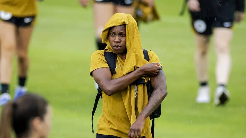 Beerensteyn in the direction of Ek-Start Back at the Scraps of Treatment Orange