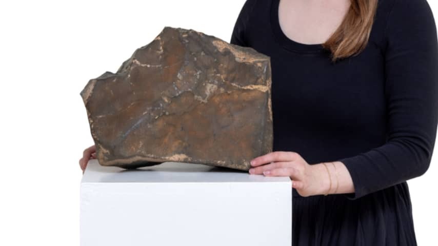 'Biggelpart Mars on Earth' should yield millions at auction