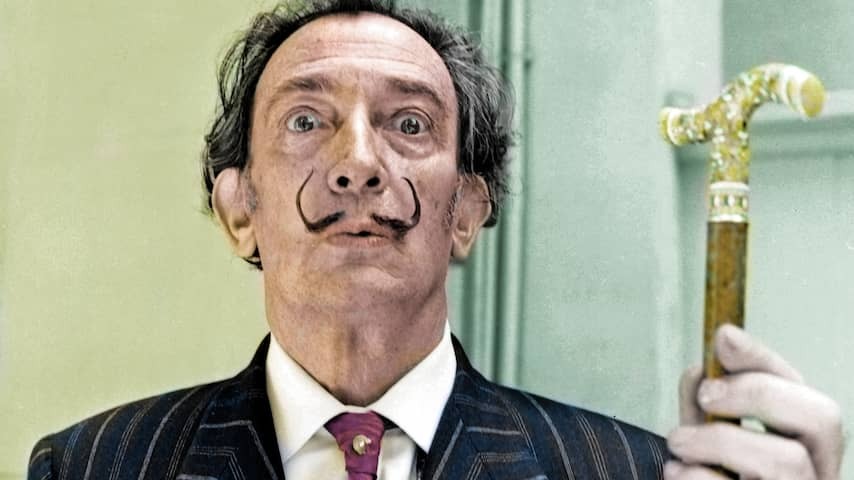 Painting Salvador Dalí that appeared at home clearance appears to be worth Fortuin