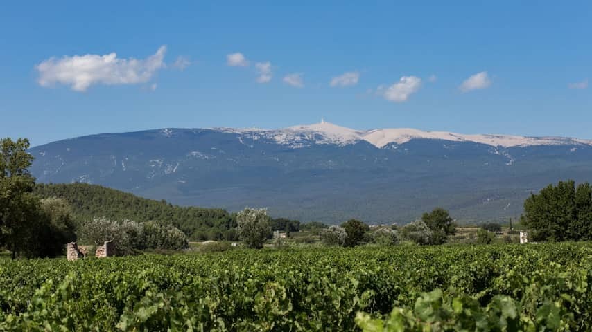 Parks in the French region of Vaucluse partly closed to fire hazard, Mont Ventoux open