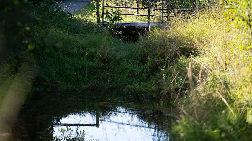 Suitcase with 'partly become skeleton' Body found in German ditch