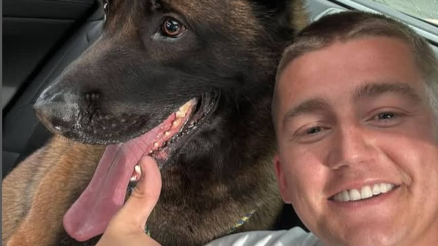 Singer Mart Hoogkamer reunited with dog Ciro: 'Have my buddy back'