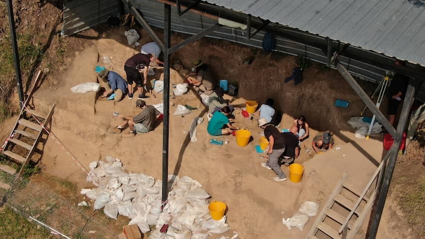 Archaeologists in Georgia find human jawbone of 1.8 million years old
