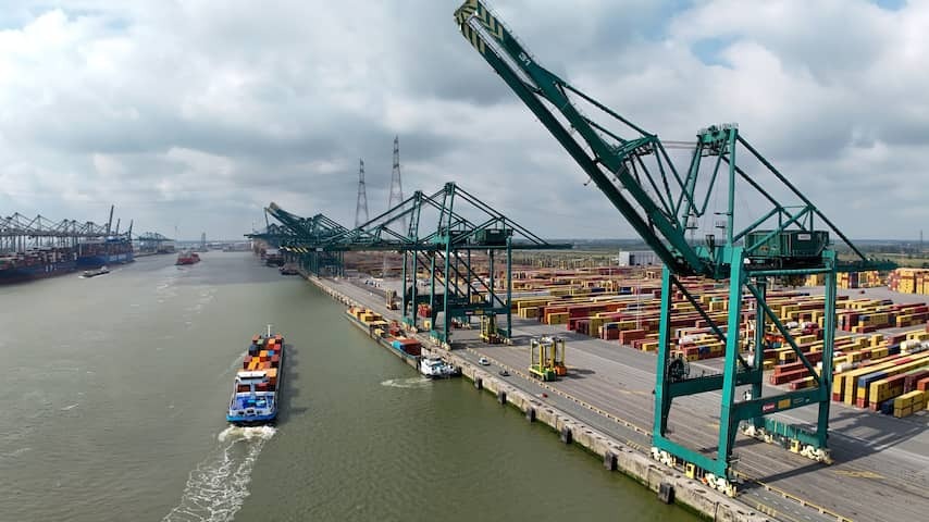 Seven Dutch people arrested after drug discovery on cargo ship in Antwerp