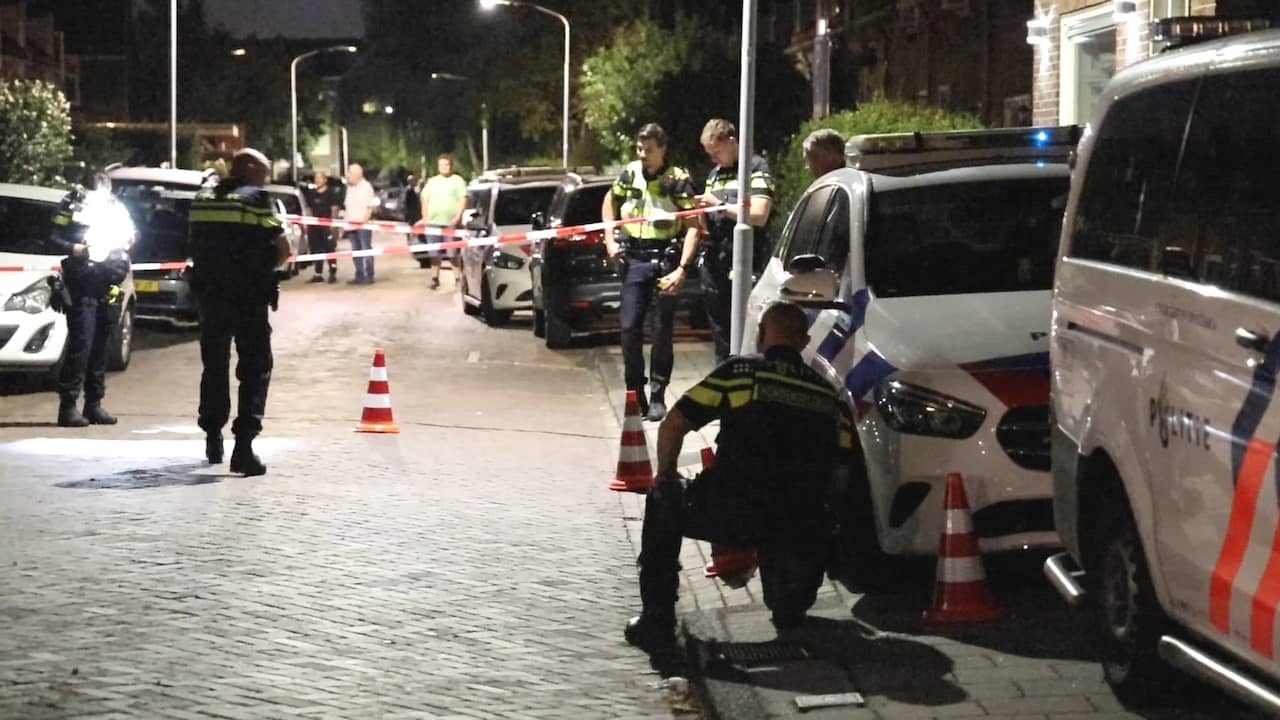 Image from Video: Police Investigate Site of Quarrel and Shot Dog in Haarlem