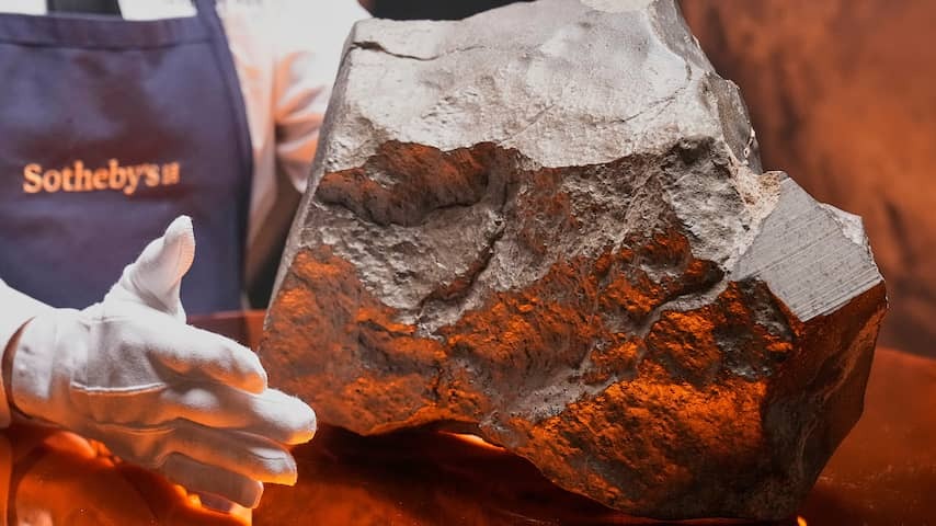 Niger investigates how rare meteorite of Mars ended up at auction