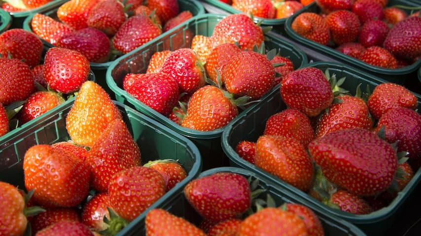 Strawberry cultivation doubles to 86 million kilos, more and more fruit from Kas