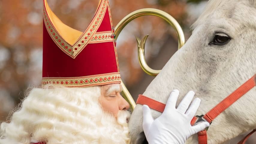 Former horse of Sinterklaas passed away: 'Being allowed to enjoy pension for 3 years'