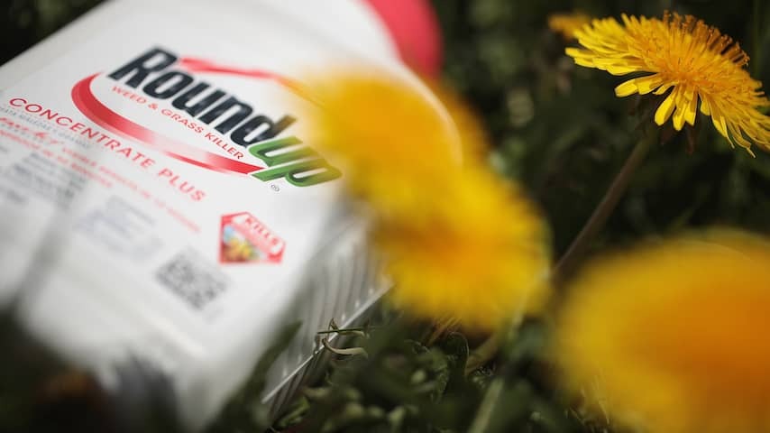 Roundup Glyphosate