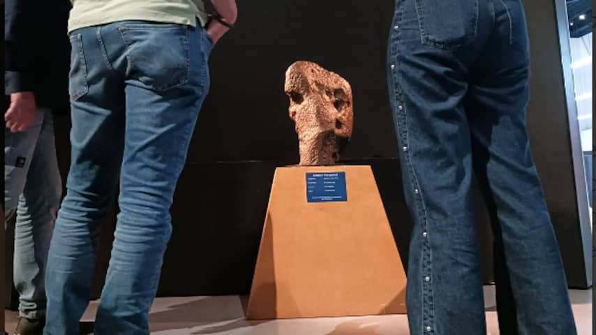 Large meteorite of the Dutch Observatory auctioned for more than 2 million euros