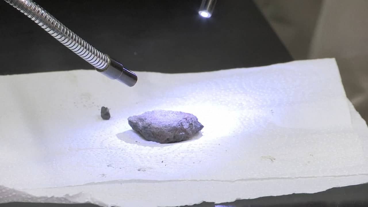 Image from Video: Dinosaurus Museum finds fossil under its own parking space