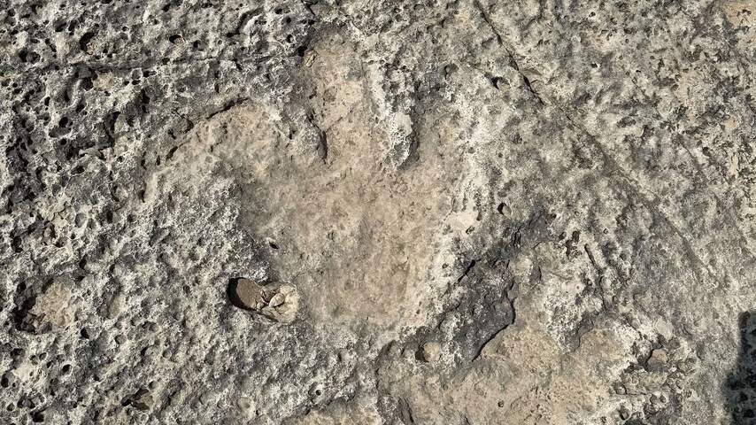 Footprints Dinosaurus exposed by fatal floods in Texas