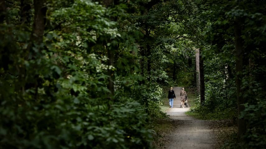 Suspect arrested for serious sexual crime in Bos near Zeist