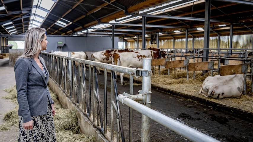 Criticism of new Nitrogen Act Minister Wiersma: 'irresponsible and very risky'