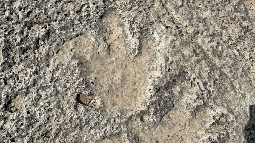 Pootprints Dinosaurus uncovered by fatal floods in Texas