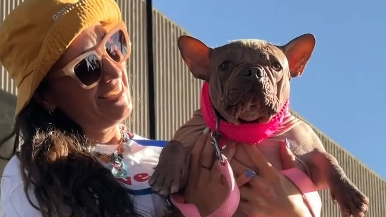 Image from Video: Petunia Named Ugliest Dog in the World