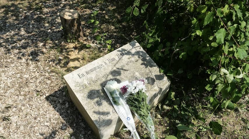 French police picks up brothers for caps commemorative tree for murdered Jew