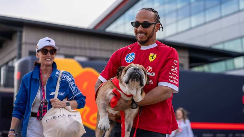 Hamilton mourns Dog Roscoe for death: 'I lost my best friend'