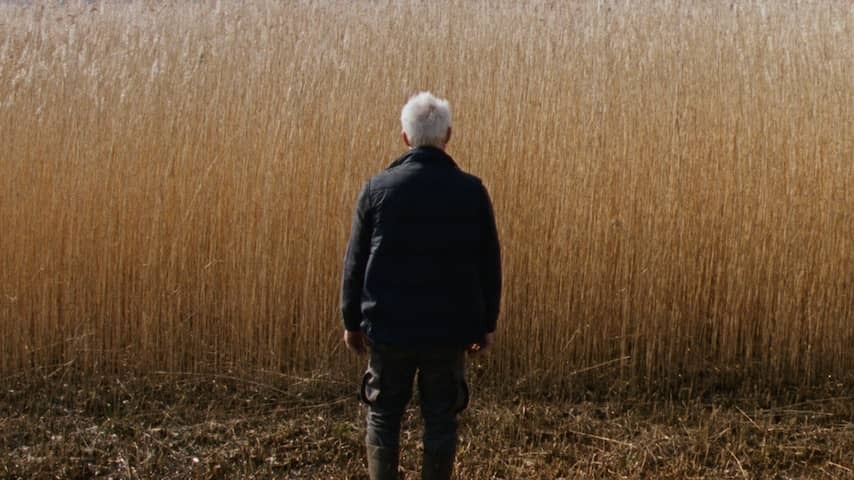 Rietland Dutch entry for Oscar Best Foreign Film