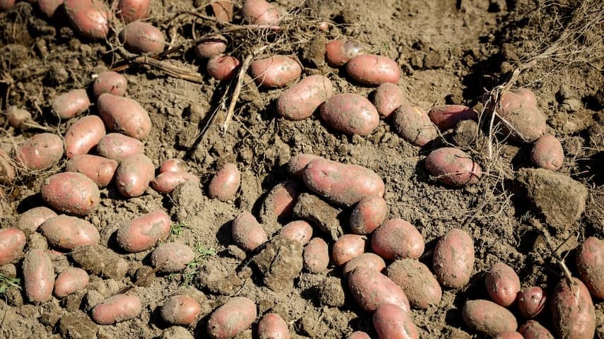 Profit organic farmers are under pressure, costs risen too sharply