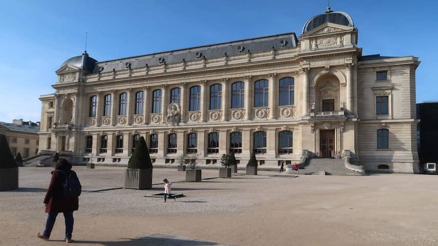 Burglars steal 600,000 euros in gold from Natural History Museum Paris