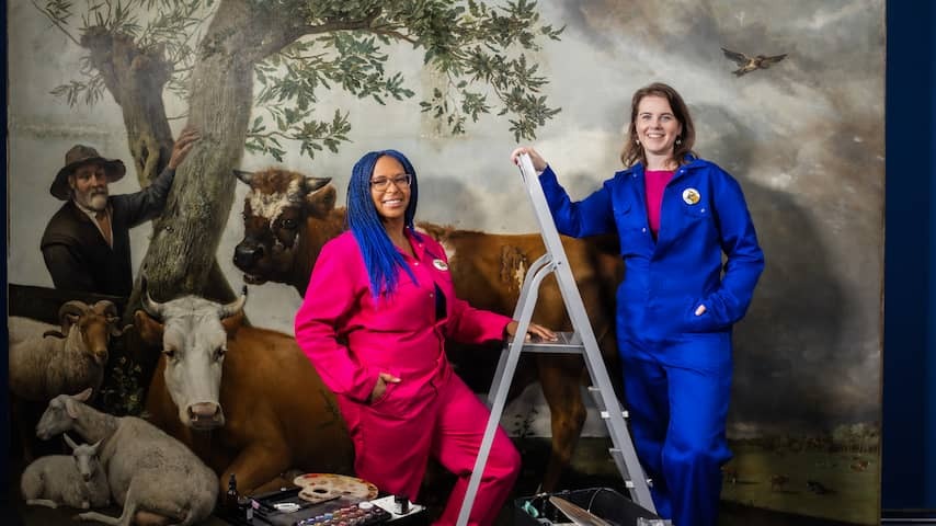 Restoration De Stier Mauritshuis